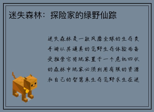 迷失森林：探险家的绿野仙踪